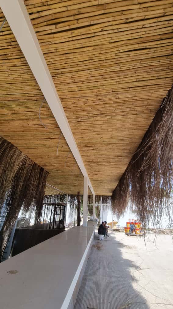 Profesyonel Bambu Çit Montajı